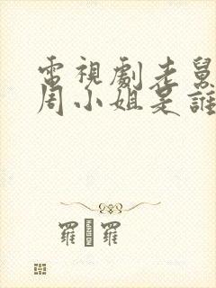 电视剧老舅里的周小姐是谁演的封面