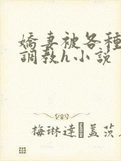 娇妻被各种刑具调教h小说