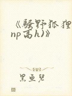 《骚野狐狸精(np高h)》
