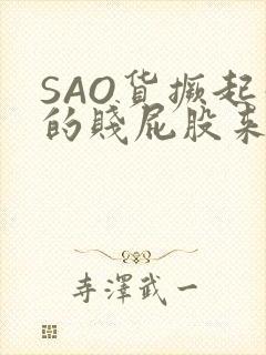 SAO货撅起你的贱屁股来