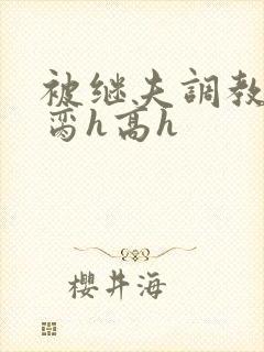 被继夫调教成禁脔h高h封面