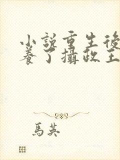 小说重生后我娇养了摄政王小说封面