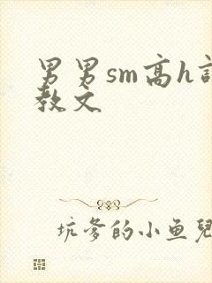 男男sm高h调教文