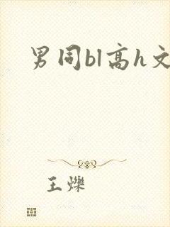 男同bl高h文封面