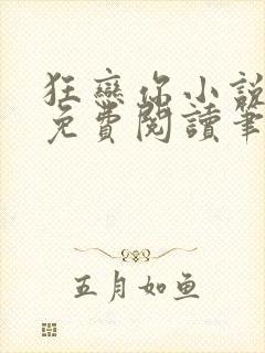 狂恋你小说全文免费阅读笔趣阁