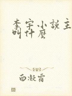 李宇小说主人公叫什么