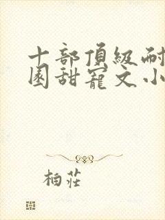 十部顶级耐看校园甜宠文小说