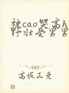 被cao哭高h野壮受男男视频
