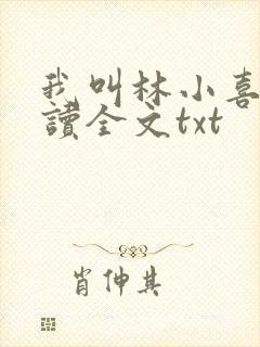 我叫林小喜全阅读全文txt