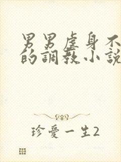 男男虐身不虐心的调教小说