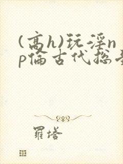 (高h)玩淫np伦古代总受封面