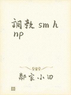 调教 sm h np