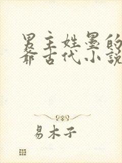 男主姓墨的是王爷古代小说