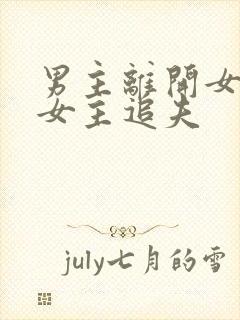 男主离开女主,女主追夫