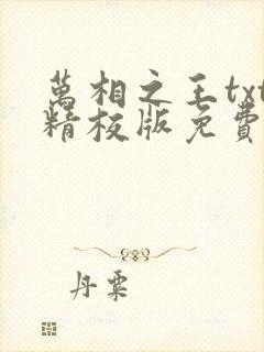 万相之王txt精校版免费阅读