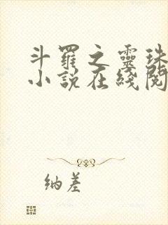 斗罗之灵珠神剑小说在线阅读全文封面