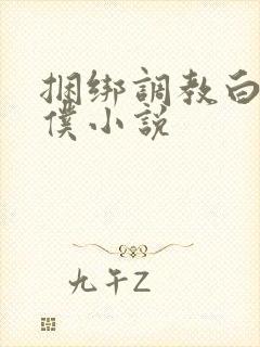 捆绑调教白丝女仆小说封面