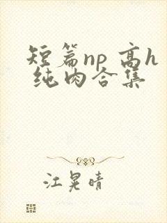 短篇np 高h 纯肉合集