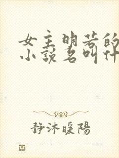 女主明若的穿越小说名叫什么