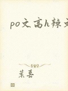 po文高h辣文
