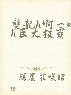 双龙h啊～嗯啊h巨大校霸