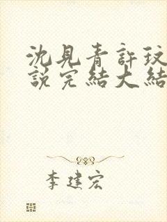 沈见青许玟玟小说完结大结局了吗