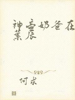 神帝奶爸在都市叶辰