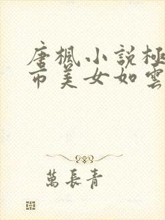 唐枫小说极乐都市美女如云