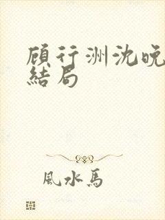 顾行洲沈晚宁大结局封面