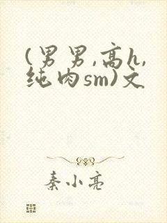 (男男,高h,纯肉sm)文