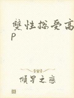 双性总受高hnp