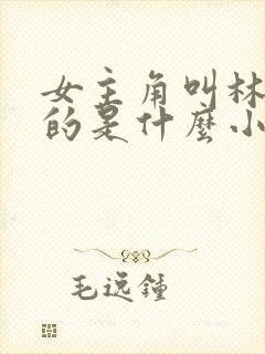 女主角叫林知夏的是什么小说
