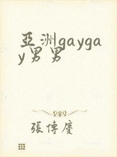 亚洲gaygay男男