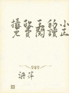 摄政王的小闲妻免费阅读正版