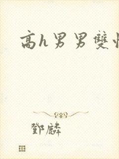 高h男男双性