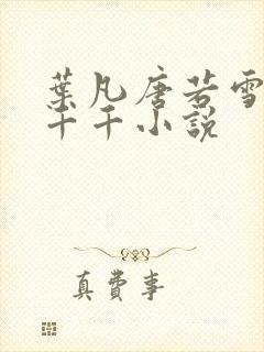 叶凡唐若雪医婿千千小说封面