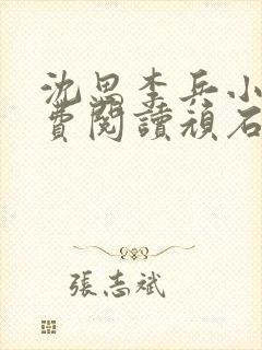 沈思李兵小说免费阅读顽石网