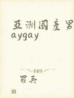 亚洲国产男同gaygay