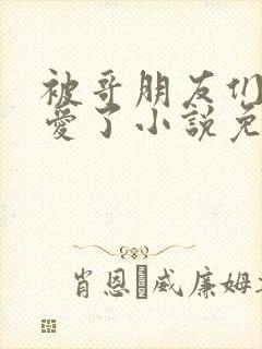 被哥朋友们强制爱了小说免费阅读最