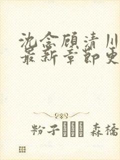 沈念顾清川小说最新章节更新内容分