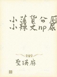 小荡货公厕h文小辣文np尿