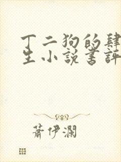 丁二狗的肆意人生小说书评封面
