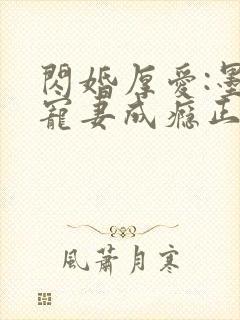 闪婚厚爱:墨少宠妻成瘾正版