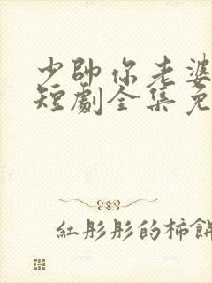 少帅你老婆又跑短剧全集免费观看高清