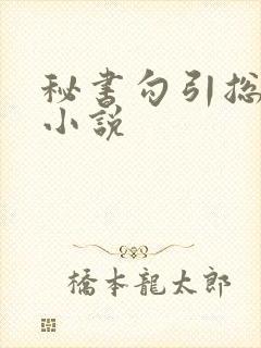 秘书勾引总裁的小说
