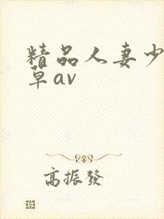 精品人妻少妇嫩草av