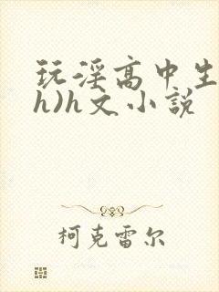 玩淫高中生(高h)h文小说