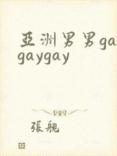 亚洲男男gaygaygay