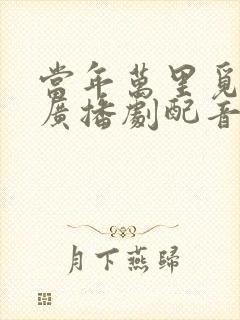 当年万里觅封侯广播剧配音