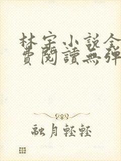 林宇小说全文免费阅读无弹窗封面